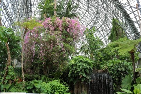 東京都　夢の島熱帯植物園