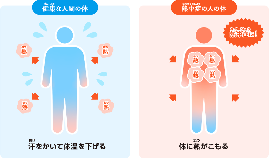 熱中症の時に体の中で起こっていること 一つは、体の中の水分が足りなくなる「脱水症状」です。もう一つは、体の中に熱がこもってしまう状態です。