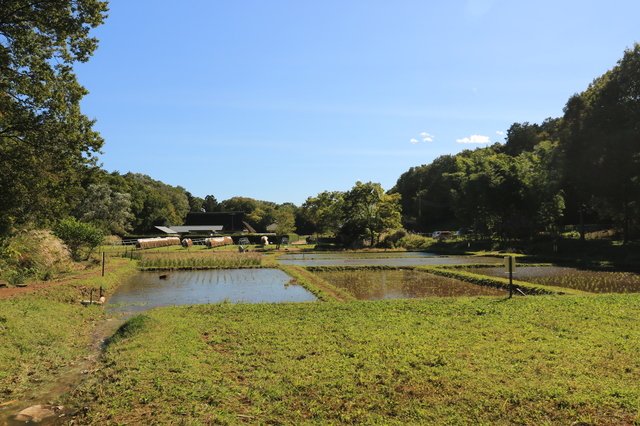 東京都にある田んぼや里山はは東京都の生物多様性拠点