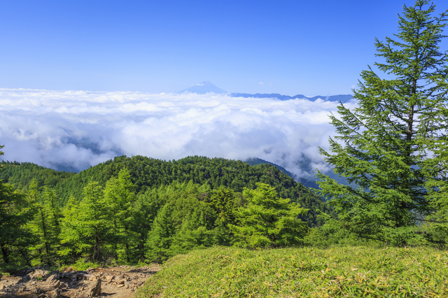 雲取山は東京都の生物多様性拠点