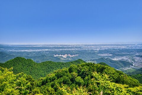 東京都の豊かな生物多様性が残る高尾山・陣場山地域